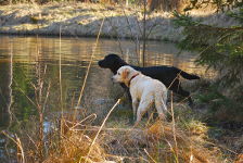 Bella mit Paula beim Baden