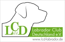 Logo LCD